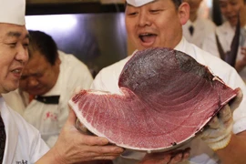  Cá ngừ trị giá hơn 16 tỷ đồng 