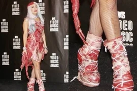 Ngắm những đôi giày quái dị nhất thế giới