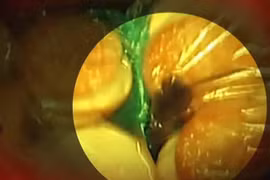 Kinh dị chuột chạy trong túi bánh McDonald's