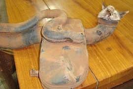 Kỳ lạ chú mèo bị mắc kẹt trong ống xả ô tô