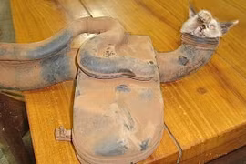 Kỳ lạ chú mèo bị mắc kẹt trong ống xả ô tô