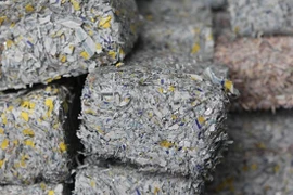 Điên rồ chuyện nghiền nát 1,4 tỉ euro thành... gạch xây nhà