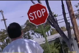 Trang trí biển báo giao thông hình bông hoa