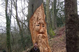 Ấn tượng nghệ thuật điêu khắc trên cây khổng lồ