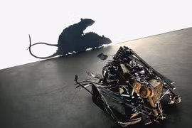 Những đống rác phản chiếu bóng hình độc đáo