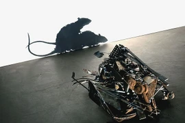 Những đống rác phản chiếu bóng hình độc đáo