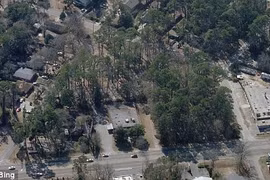 Hai cụ già đang "lên tiên" giữa công viên thì bị bắt