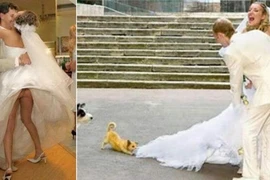 Những bức ảnh cưới oái oăm, dở khóc dở cười