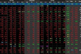 Chứng khoán hôm nay đồng loạt lao dốc