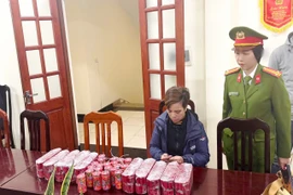 Công an Hà Nội điều tra, khám phá 130 vụ việc, 154 đối tượng vi phạm về pháo