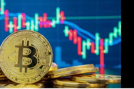 Gia tăng thủ đoạn lừa đảo tài sản mã hóa