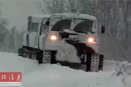 Hạm đội Phương Bắc của Nga thử nghiệm loại xe đặc chủng độc nhất vô nhị