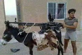 Dùng lừa làm giá súng "độc nhất vô nhị"!