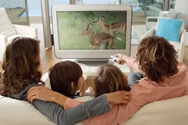 Xem nhiều tivi giảm lượng tinh trùng