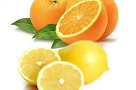 Cam, chanh ngăn ngừa béo phì và bệnh tim