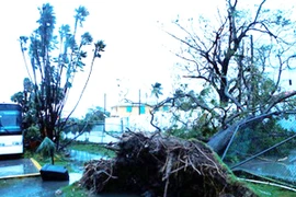 Mexico: 6 người thiệt mạng do bão nhiệt đới Earl