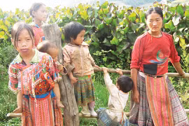 Ánh mắt Hà Giang