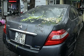 Ô tô húc quán phở, 1 phụ nữ nhập viện