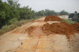 Chùm ảnh: Đường đê “gồng mình” gánh vi phạm