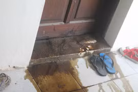 Dùng mắm tôm trộn dầu nhớt để “khủng bố”