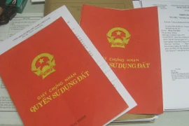 Bắt giám đốc lừa đảo hàng chục tỷ đồng bằng giấy tờ giả 