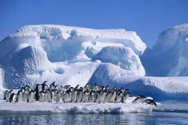 Những hoang mạc và sa mạc lớn nhất thế giới