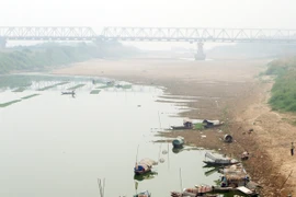 Rét đậm sẽ xuất hiện sớm