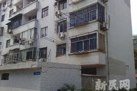 Tự tử, để lại di thư cho... chó