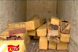 Bị phát hiện chở gỗ lậu, hối lộ CSGT xin bỏ qua