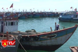 Sẽ có phí trình báo đường thủy nội địa