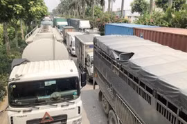 Xử lý các quy định gây khó khăn cho hoạt động sản xuất kinh doanh, lưu thông hàng hóa 