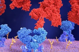 Những thông tin mới nhất về AY.4.2 - “hậu duệ” nổi của biến thể Delta 