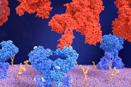 Những thông tin mới nhất về AY.4.2 - “hậu duệ” nổi của biến thể Delta 