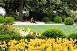 Đệ nhất phu nhân Mỹ Jill Biden bắt đầu quen với Nhà Trắng như… nhà mình