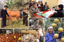 Quyền con người là thành quả của cuộc đấu tranh lâu dài để trở thành giá trị chung của nhân loại (2): Thành tựu toàn diện về bảo đảm, bảo vệ và thực thi quyền con người của Việt Nam