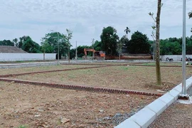 Phân lô bán nền chưa đủ điều kiện chuyển nhượng có thể bị phạt tới 1 tỷ đồng