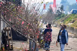 Đào Nhật Tân xuống phố 