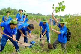 Việt Nam góp 1 triệu USD vào Quỹ Khí hậu xanh thế giới