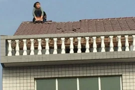 Trèo lên nóc nhà vì chồng đòi ly hôn
