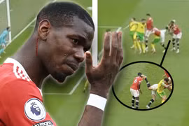 Pogba giận dữ khi bị Maguire đá trúng mặt