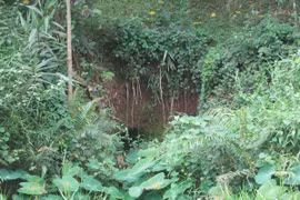 Bí ẩn những hòn đá giữa đại ngàn Trường Sơn