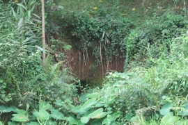 Bí ẩn những hòn đá giữa đại ngàn Trường Sơn