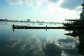 Lạ kỳ cây thị nghìn tuổi trên vùng Thất Tinh 