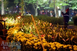 "Vùng cấm" của phố hoa