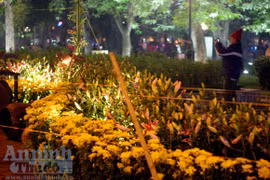 "Vùng cấm" của phố hoa