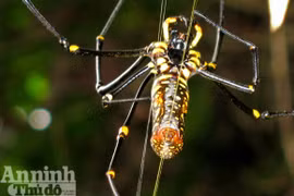  Mắt thần của núi