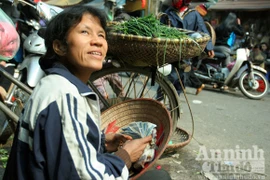 Những người đếm tiền…mỏi tay giữa phố đông