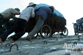 Gặp hạn vì dám xẻ thịt "xơi tái" thần ngư