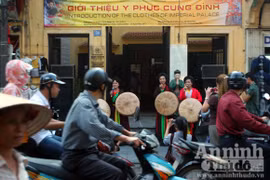 “Mời trầu” loan phượng giữa… phố
