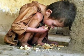 Ám ảnh khủng hoảng lương thực